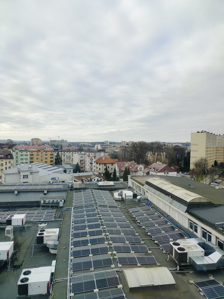 1000002642.jpg - ptak362