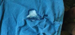 IMG_20241218_105515.jpg