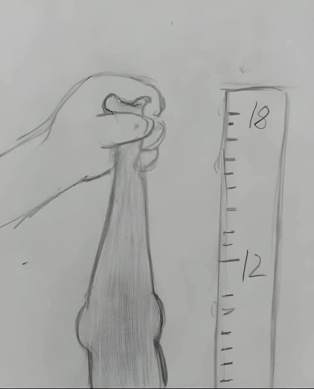 Arnikgb