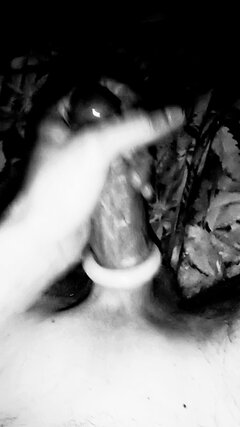 IMG_20240420_022423.jpg