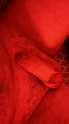 IMG_1626.jpeg