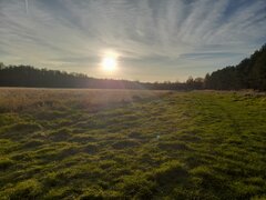 20241103_151841.jpg