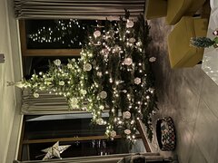 IMG_9173.jpeg