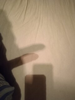 IMG_20241222_165233.jpg