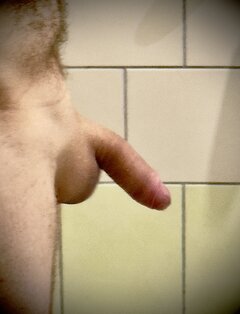 IMG_2495.jpeg