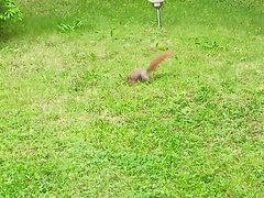 IMG20230520081341.jpg