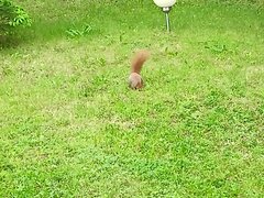 IMG20230520081343.jpg