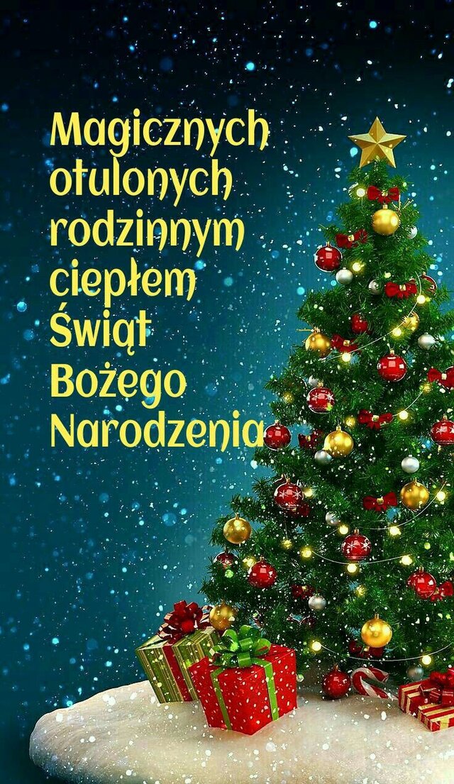 Samotny_msciciel