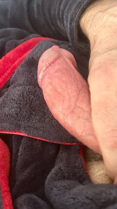 IMG_2990.jpeg
