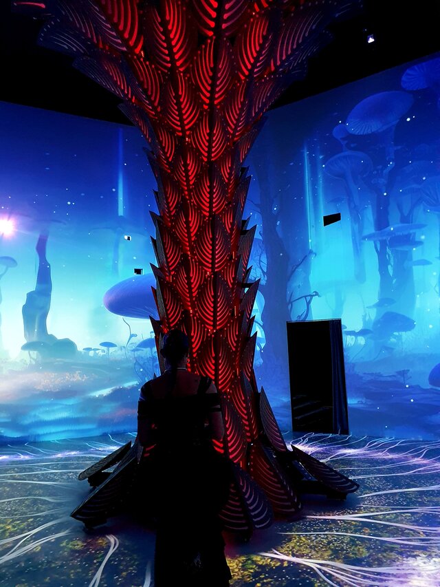 Youtuberzy