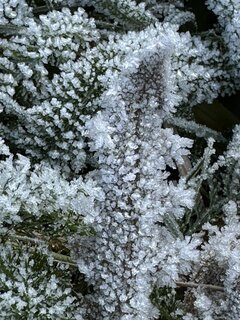 IMG_2786.JPEG