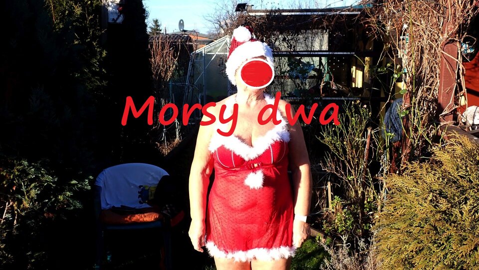 W zimowym słoneczku. - Morsy_dwa