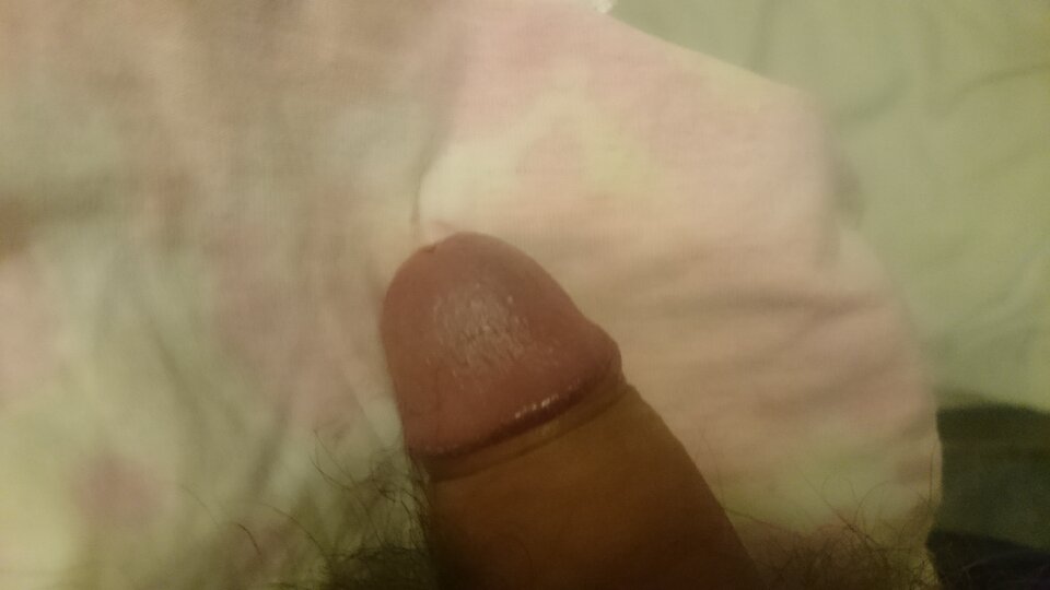 520.JPG - al2000