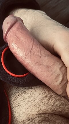 IMG_2973.jpeg