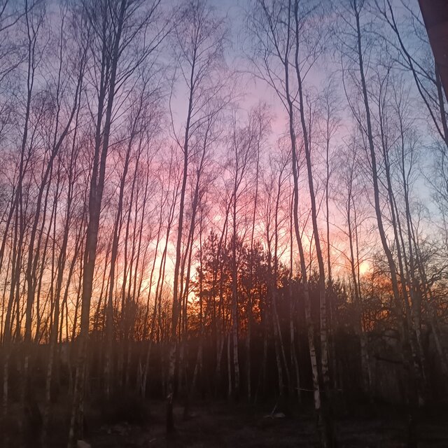 Zona_lubi_przy_mezu