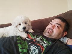 IMG_20241227_090003.jpg