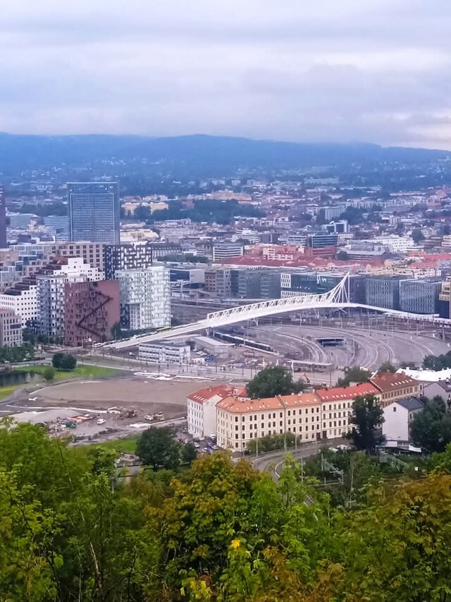 Blizniak1991