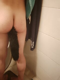 IMG_20241231_033055_248.jpg