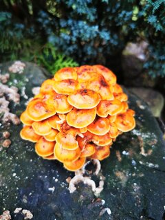 IMG_20241230_143912.jpg