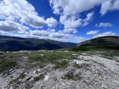 IMG_8837.jpeg