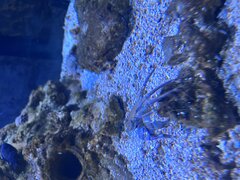 IMG_6179.jpeg