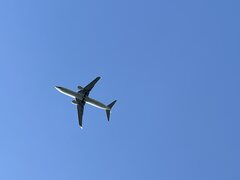 IMG_3203.jpeg