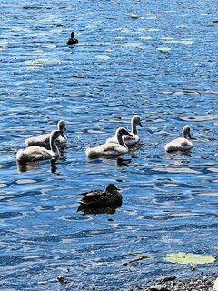 IMG_3023.jpeg