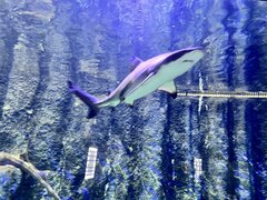 IMG_2882.jpeg