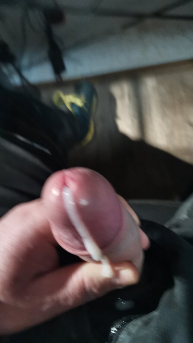 Sryl