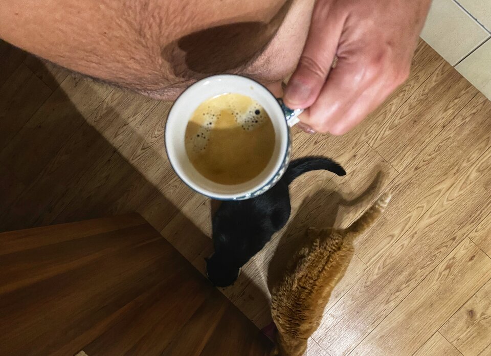 🐈 ☕️ - serialowapara19782