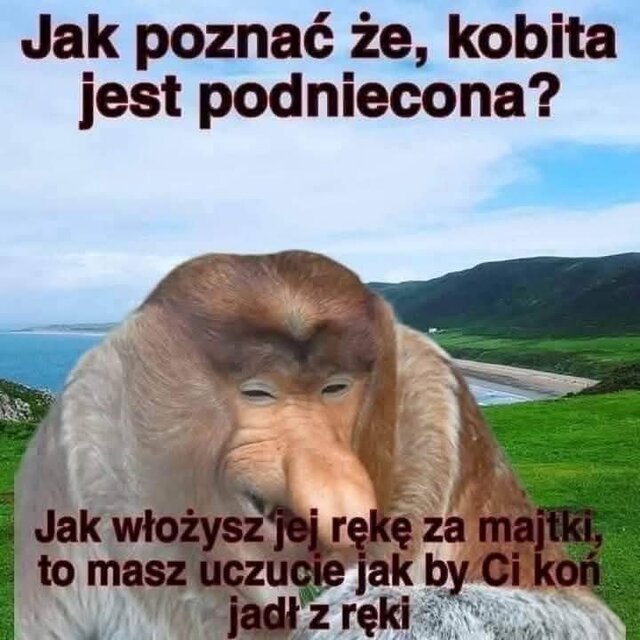 oskaros2019