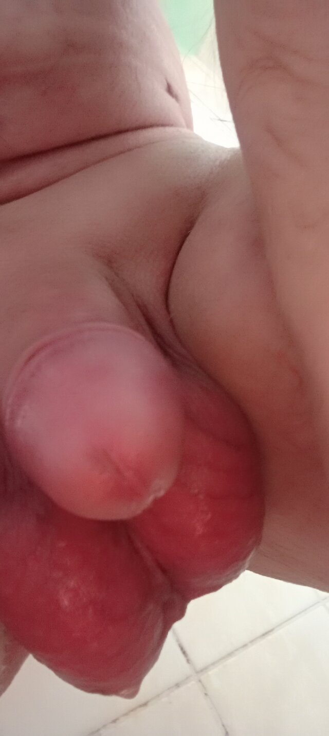 OPitt