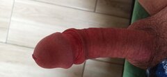 IMG_20241224_094848.jpg