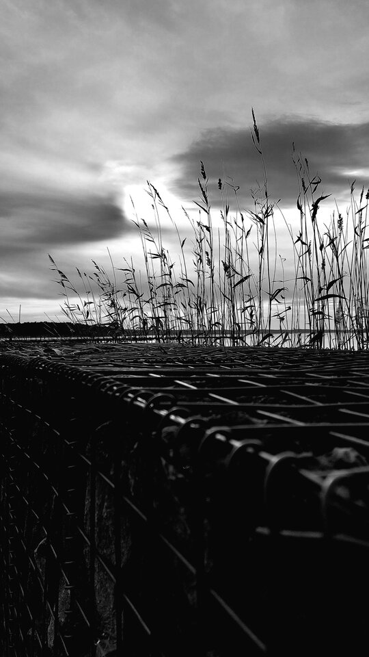 20250106_125224.jpg - DDdominiKK