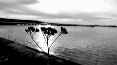 20250106_125409.jpg