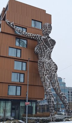 1000014022.jpg