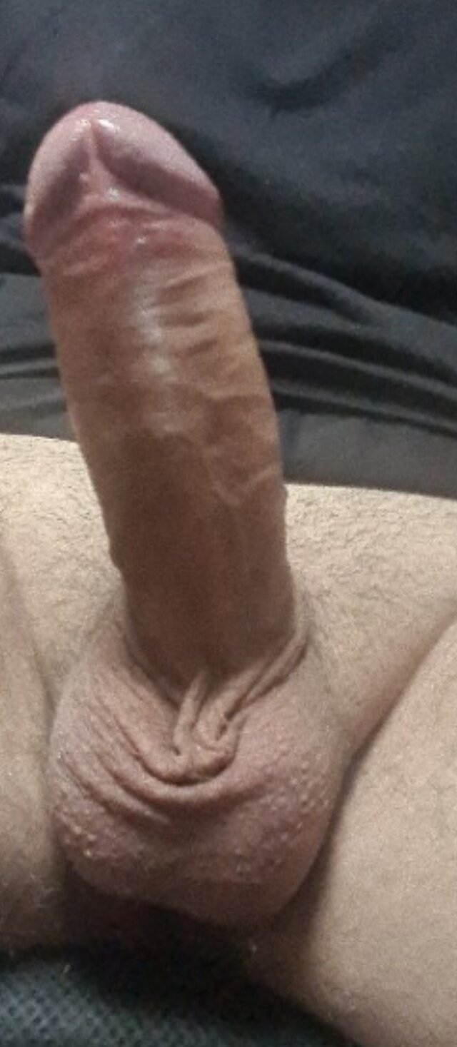 Nowyja79