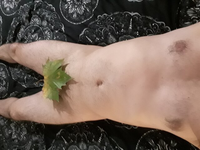 pogan11