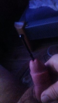 IMG-20240806-WA0003.jpeg