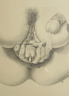 IMG_7826.jpeg