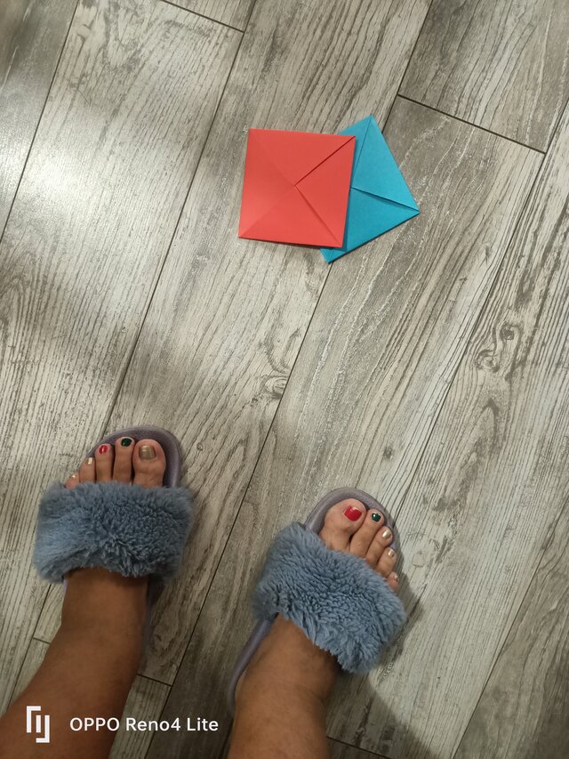 rasowa_suka45