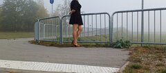 20241027_091009.jpg