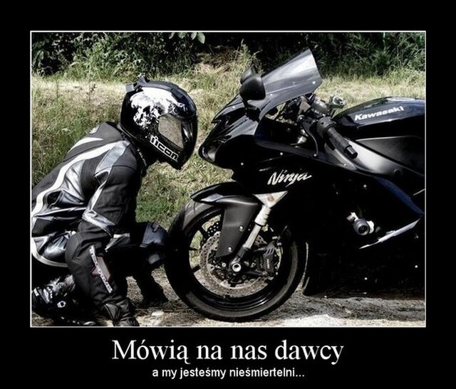 tedy42