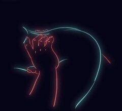 IMG_4251.jpeg
