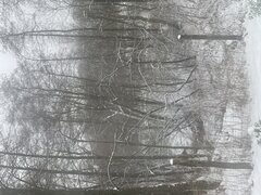 IMG_0734.jpeg