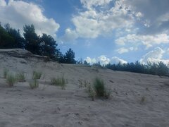 20240816_150456.jpg