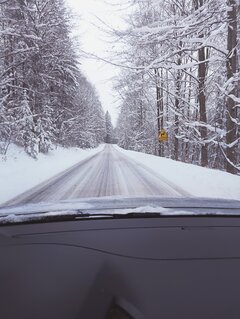 IMG_20250113_200301.jpg