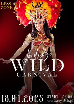 18.01.2025 r. - LADY BI CARNIVAL - IMPREZA TYLKO DLA PAR I SINGI