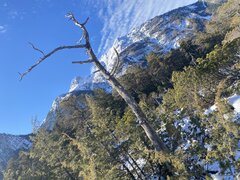 IMG_0921.jpeg