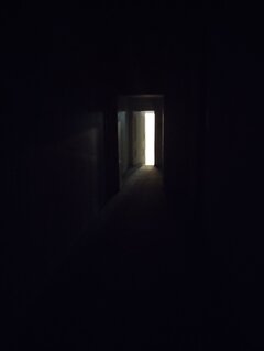 1000011782.jpg